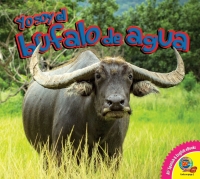 Cover image: El búfalo de agua 1st edition 9781791101770