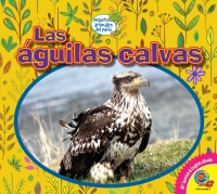 Cover image: Las águilas calvas 1st edition 9781791101800