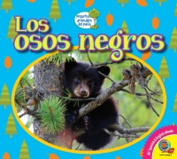 Cover image: Los osos negros 1st edition 9781791101831