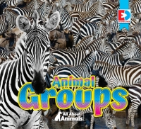 Imagen de portada: All About Animals - Animal Groups 1st edition 9781791107420