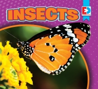 Omslagafbeelding: Insects 1st edition 9781791107468