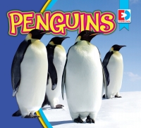 Cover image: Penguins 1st edition 9781791107505