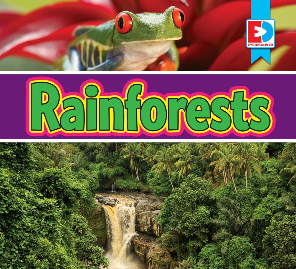 Rainforests 1st Edition