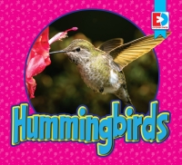 Cover image: Hummingbirds 1st edition 9781791107604