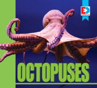 صورة الغلاف: Octopuses 1st edition 9781791107628