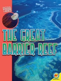 Cover image: The Great Barrier Reef 1st edition 9781791108465