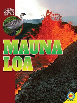 Imagen de portada: Mauna Loa 1st edition 9781791108540