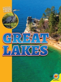 Imagen de portada: Great Lakes 1st edition 9781791108588