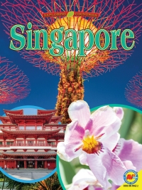 صورة الغلاف: Singapore 1st edition 9781791108946