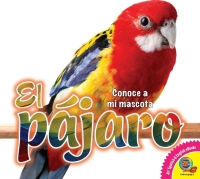 Omslagafbeelding: El pájaro 1st edition 9781791110062
