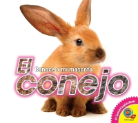 Omslagafbeelding: El conejo 1st edition 9781791110260
