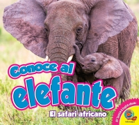 Cover image: Conoce al elefante 1st edition 9781791110307