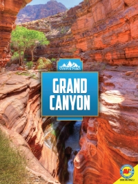 Imagen de portada: Grand Canyon 1st edition 9781791110543