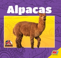 Cover image: Alpacas 1st edition 9781791116408