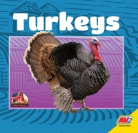 Cover image: Turkeys 1st edition 9781791116446