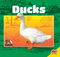 Imagen de portada: Ducks 1st edition 9781791116484