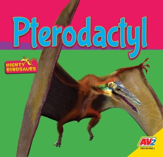 Cover image: Pterodactyl 1st edition 9781791116606