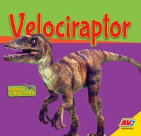 Cover image: Velociraptor 1st edition 9781791116729
