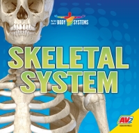 Imagen de portada: Skeletal System 1st edition 9781791118761