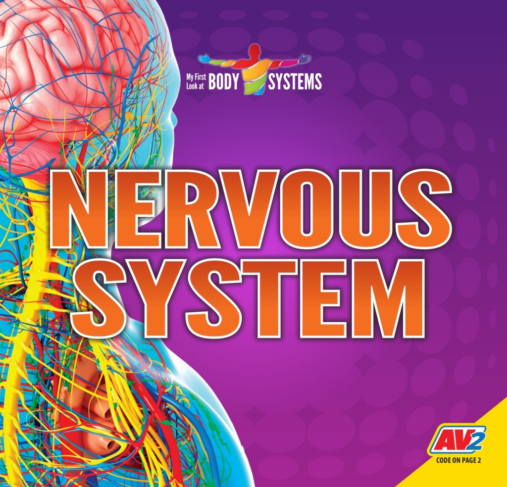 Nervous System 1st Edition