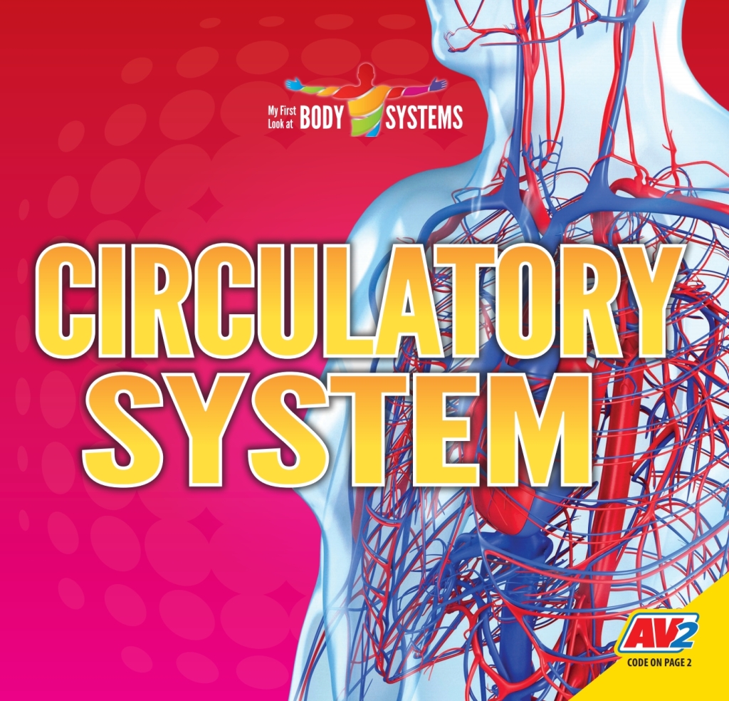 Circulatory System 1st Edition