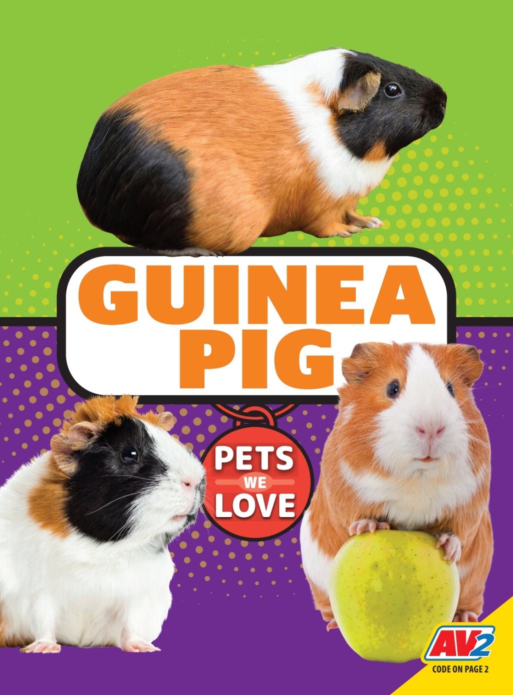 Guinea Pig 1st Edition