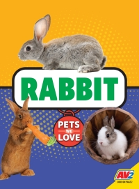 صورة الغلاف: Rabbit 1st edition 9781791119249
