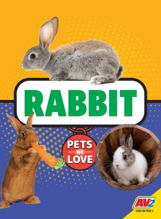 Cover image: Rabbit 1st edition 9781791119249