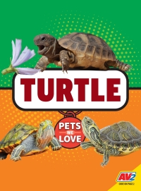 Imagen de portada: Turtle 1st edition 9781791119287
