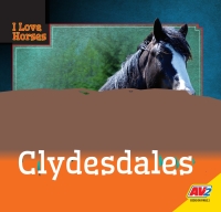 Omslagafbeelding: Clydesdales 1st edition 9781791119553