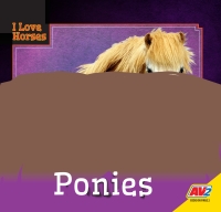 صورة الغلاف: Shetland Ponies 1st edition 9781791119676