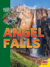 Cover image: Angel Falls 1st edition 9781791120719