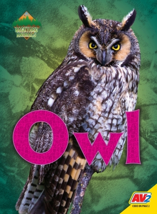 Cover image: Owl 1st edition 9781791120832