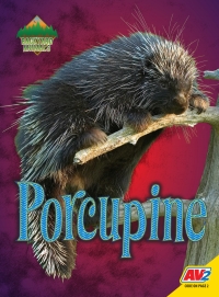 Imagen de portada: Porcupine 1st edition 9781791120955