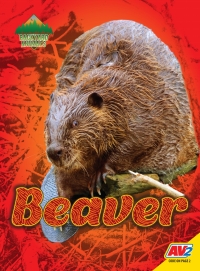 Imagen de portada: Beaver 1st edition 9781791120993
