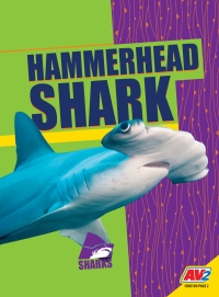 Omslagafbeelding: Hammerhead Shark 1st edition 9781791121037