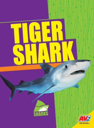 صورة الغلاف: Tiger Shark 1st edition 9781791121198