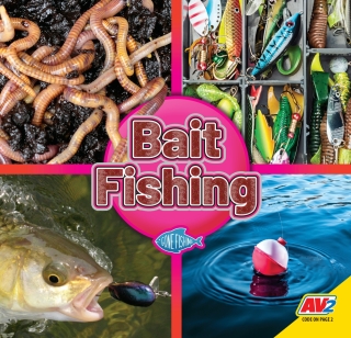 Titelbild: Bait Fishing 1st edition 9781791121822