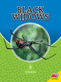 Cover image: Black Widows 1st edition 9781791122928