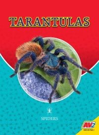 Cover image: Tarantulas 1st edition 9781791122966