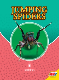 表紙画像: Jumping Spiders 1st edition 9781791123000