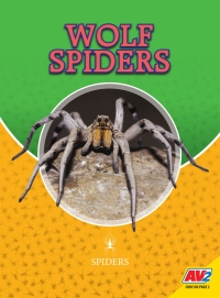 صورة الغلاف: Wolf Spiders 1st edition 9781791123048