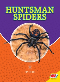 Imagen de portada: Huntsman Spiders 1st edition 9781791123086