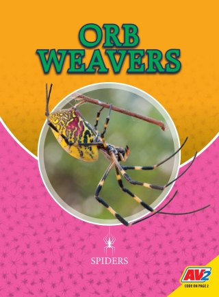 Imagen de portada: Orb Weavers 1st edition 9781791123123
