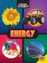 Cover image: Energy 1st edition 9781791123680