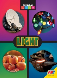Cover image: Light 1st edition 9781791123802