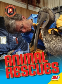 صورة الغلاف: Animal Rescues 1st edition 9781791125301