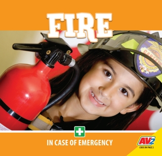 Imagen de portada: Fire 1st edition 9781791126728