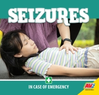 Cover image: Seizures 1st edition 9781791126766