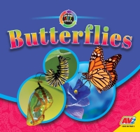 Imagen de portada: Butterflies 1st edition 9781791127046